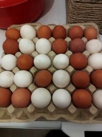 Яйця домашні з доставкою