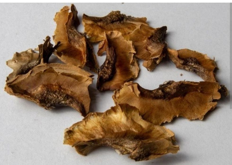 Перепонки, перегородки, перетинки грецкого ореха