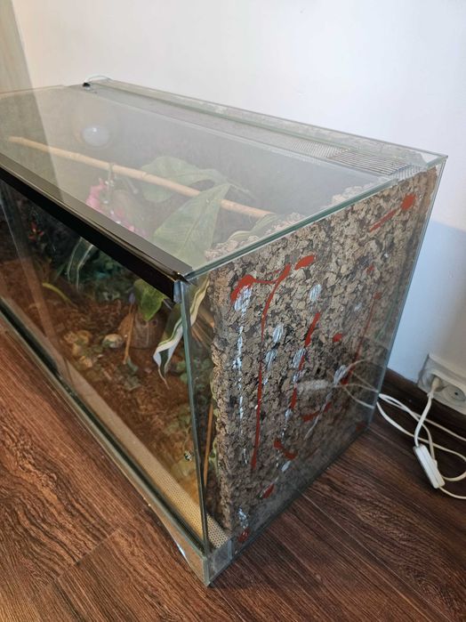 Duże Terrarium szklane z tłem korkowym i wyposażeniem dla Gekona Węża