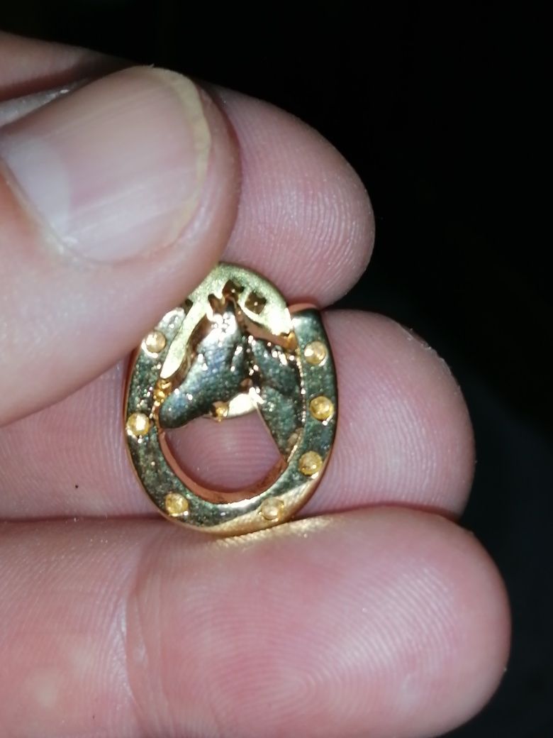 Pin de Ferradura e cabeça de cavalo