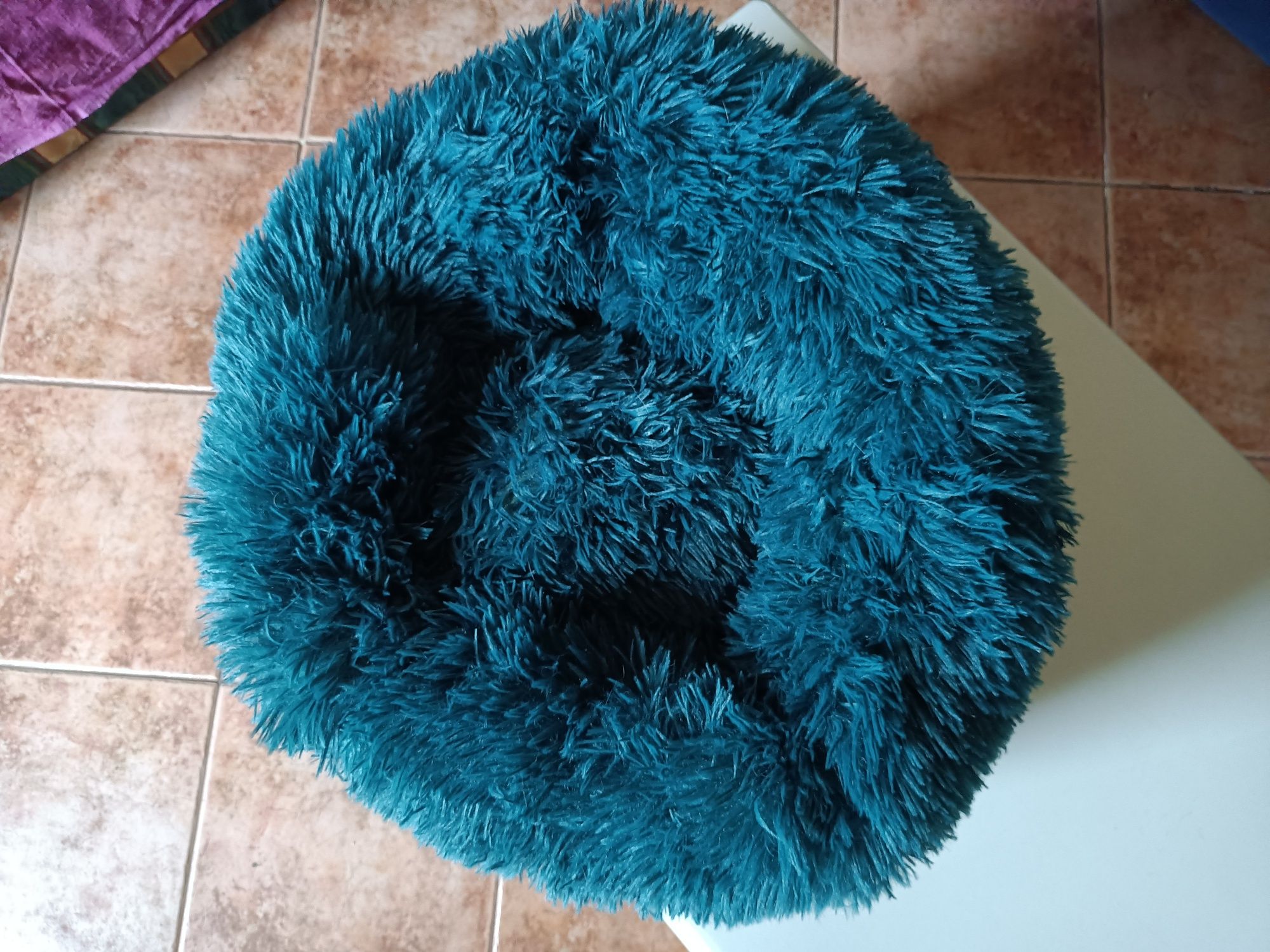 Cama para gato azul turquesa