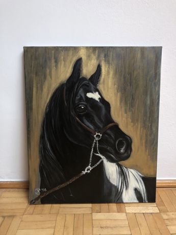 Obraz olejny koń 50x60