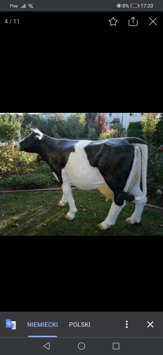 Figura Krowa 147x220cm