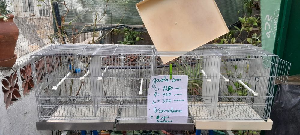 Várias gaiolas para pássaros