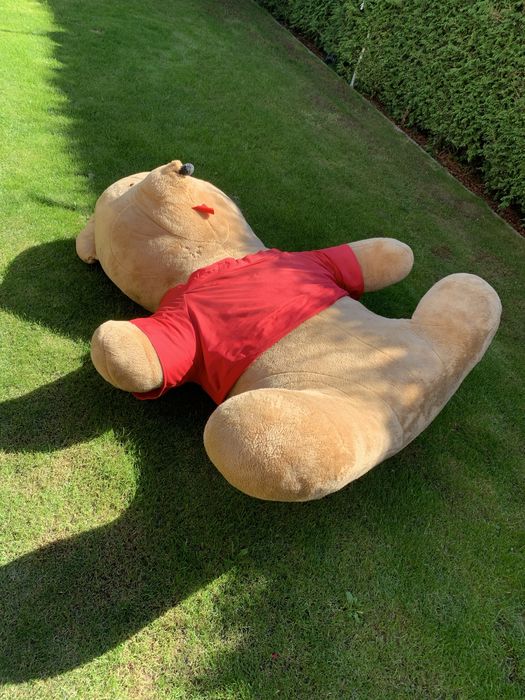 Miś pluszowy bardzo duży i fajny