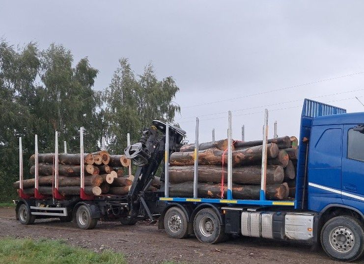 Usługi transportowe drewna / HDS