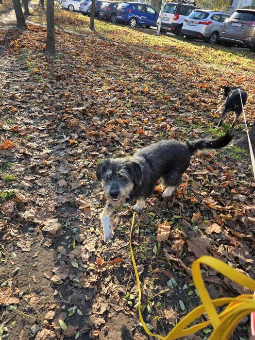 On nie prosi o cud — tylko o miejsce w Twoim sercu.