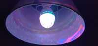 Imprezowa żarówka lampka reflektor kolory diody dyskoteka lampa
