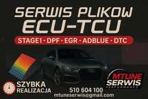 CHIPTUNING -  EGR - DPF - ADBLUE - współpraca