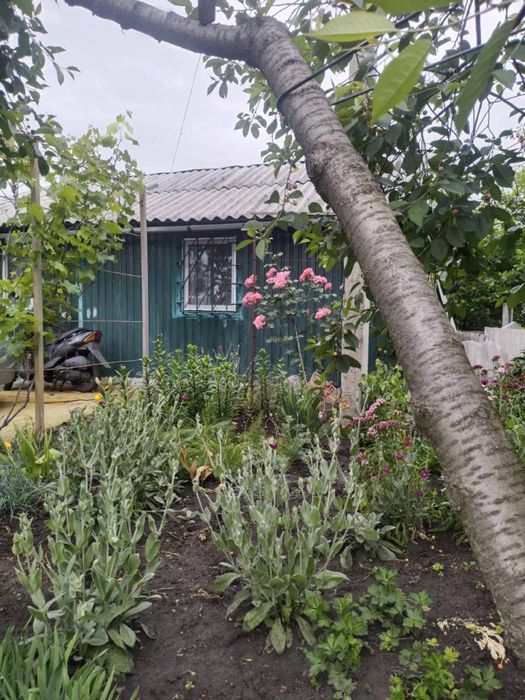 У продажу дача в Малій Данилівці