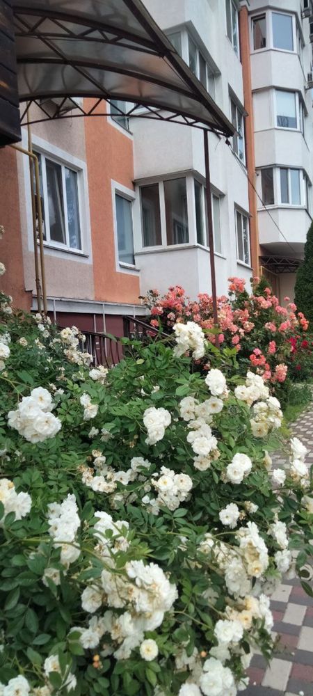 Продаж великої 1к квартири вул. Полтавська 6, З БАЛКОНОМ ТА КОМОРОЮ