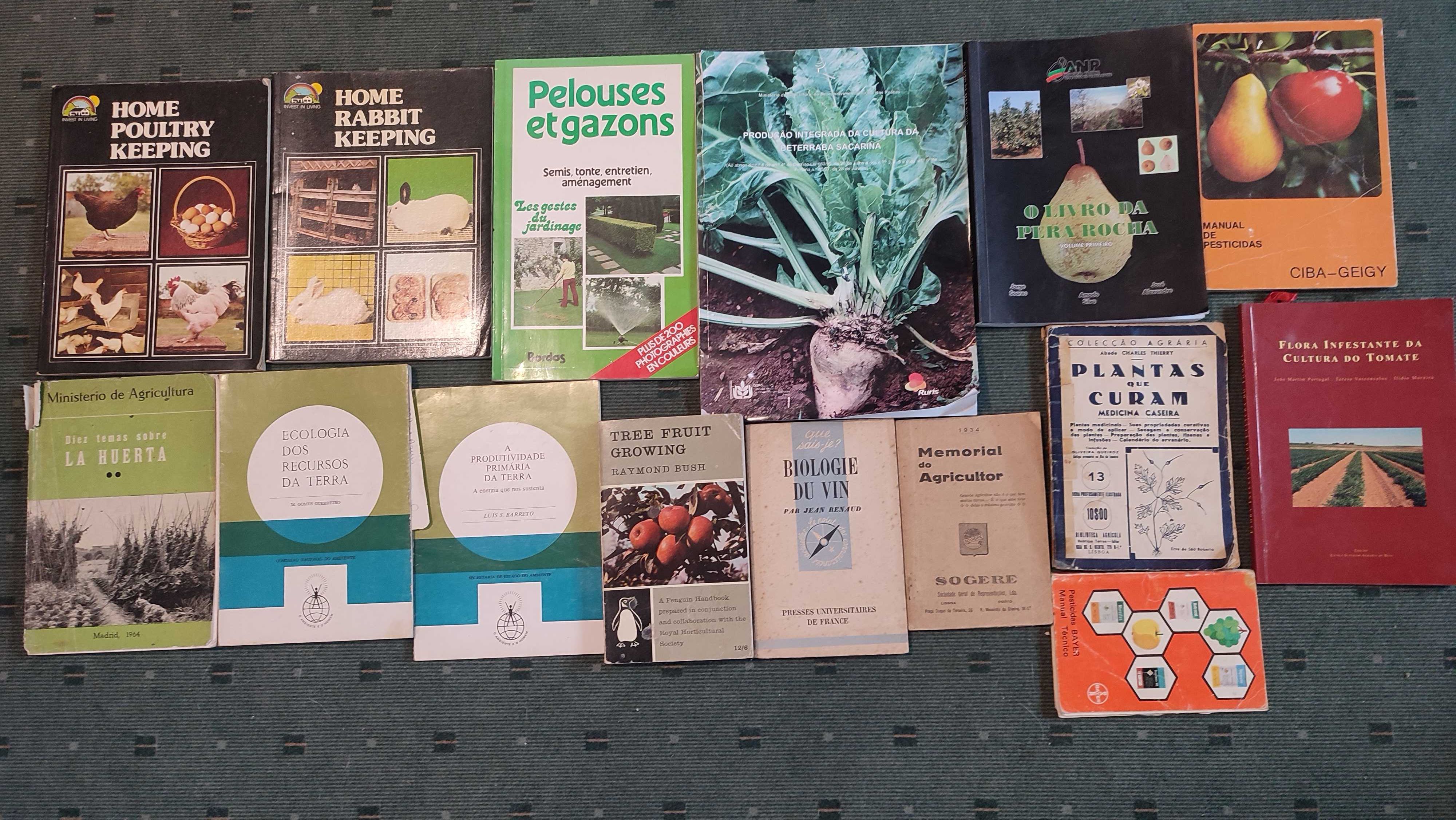 Lote livros Agricultura e Pecuária