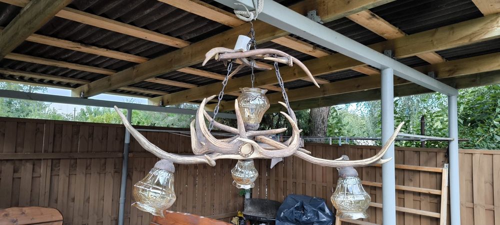Żyrandol z poroża Jelenia