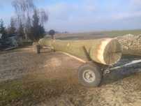 Dąb,jesion ,sosna