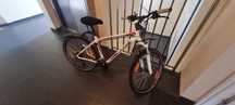 Rower Specialized Hardrock sport