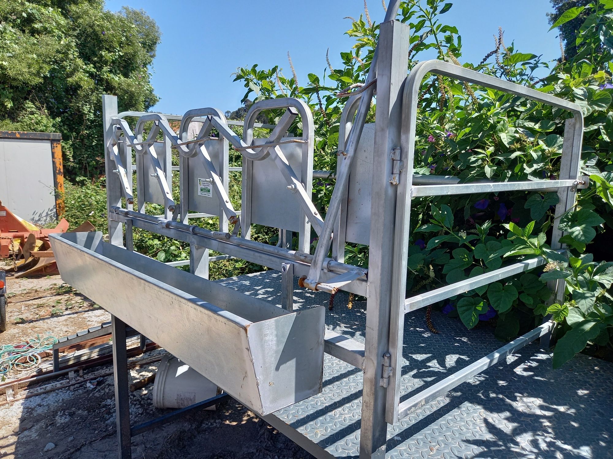 Amarre de ordenha com plataforma para cabras e ovelhas
