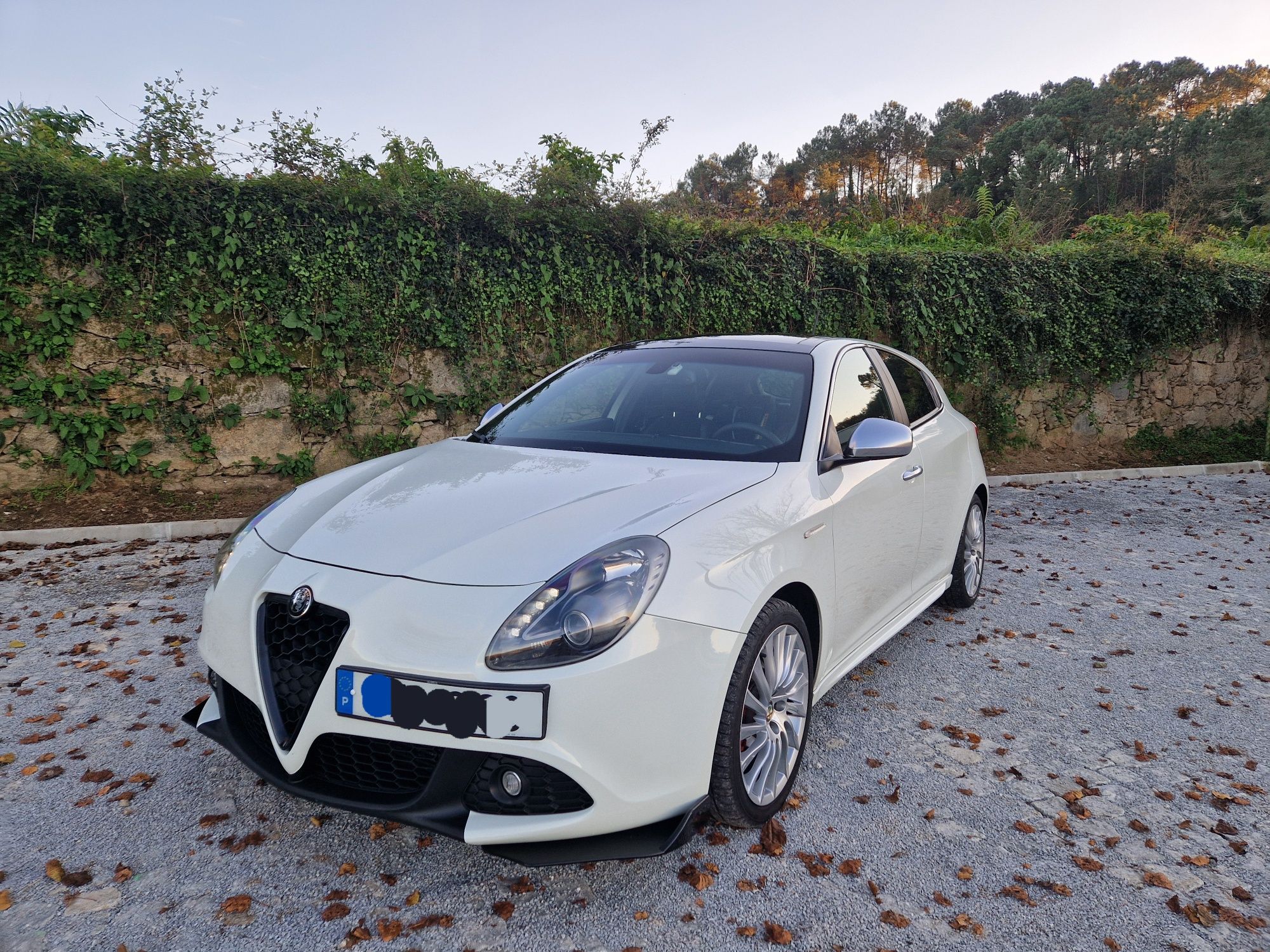 Alpha Romeo Guilieta 1.6 JTD Full Extra Ano 2012s