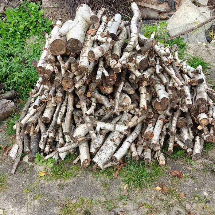 Drewno opałowe lub do wędzenia