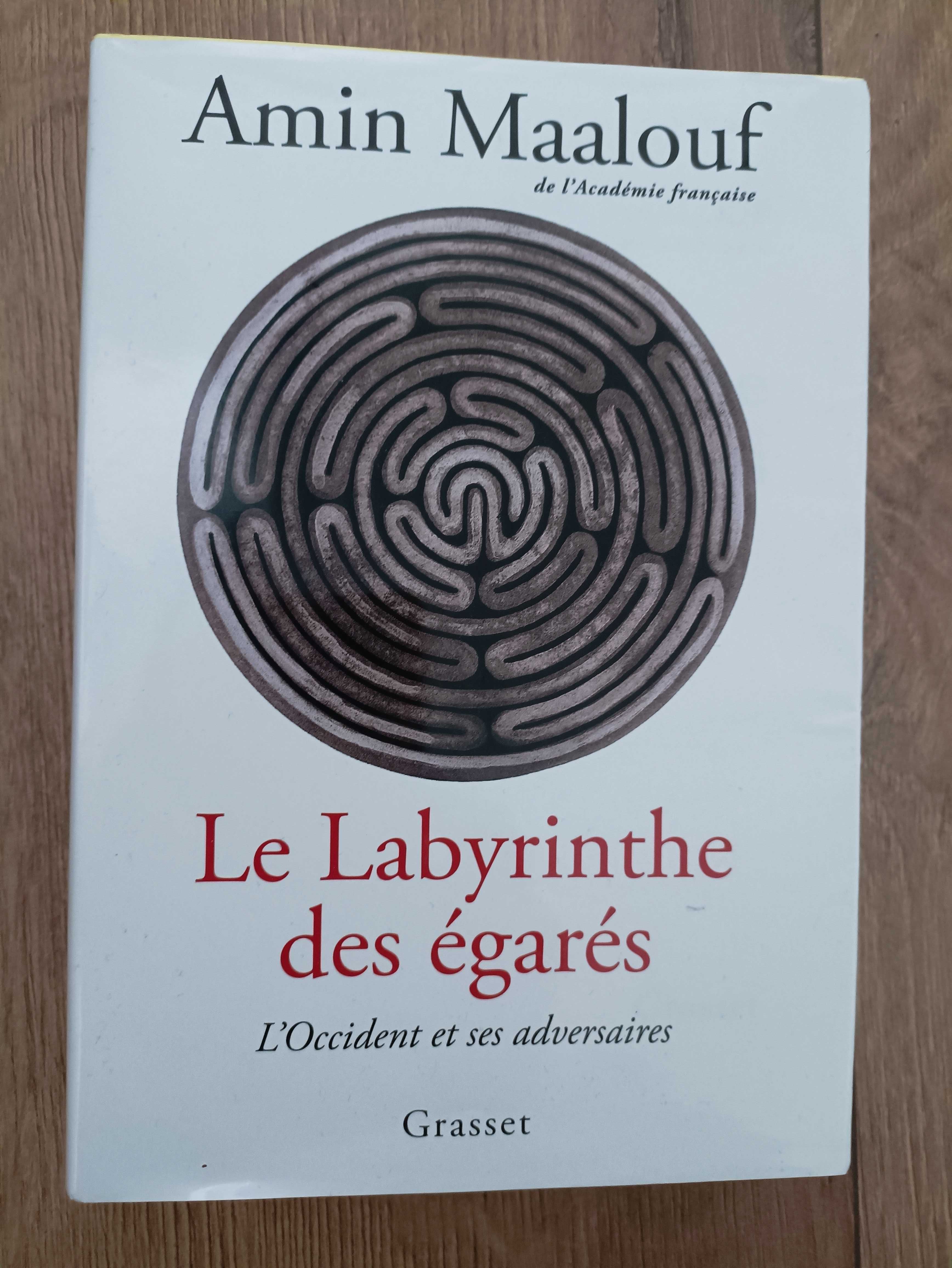 Le Labyrinthe des égarés : L'Occident et ses adversaires Amin Maalouf