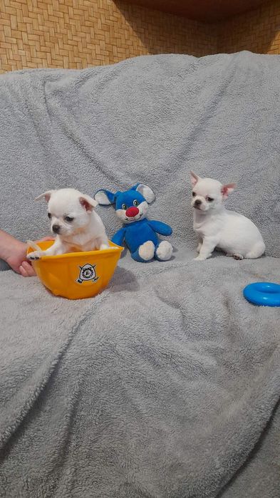 Щастя таки існує