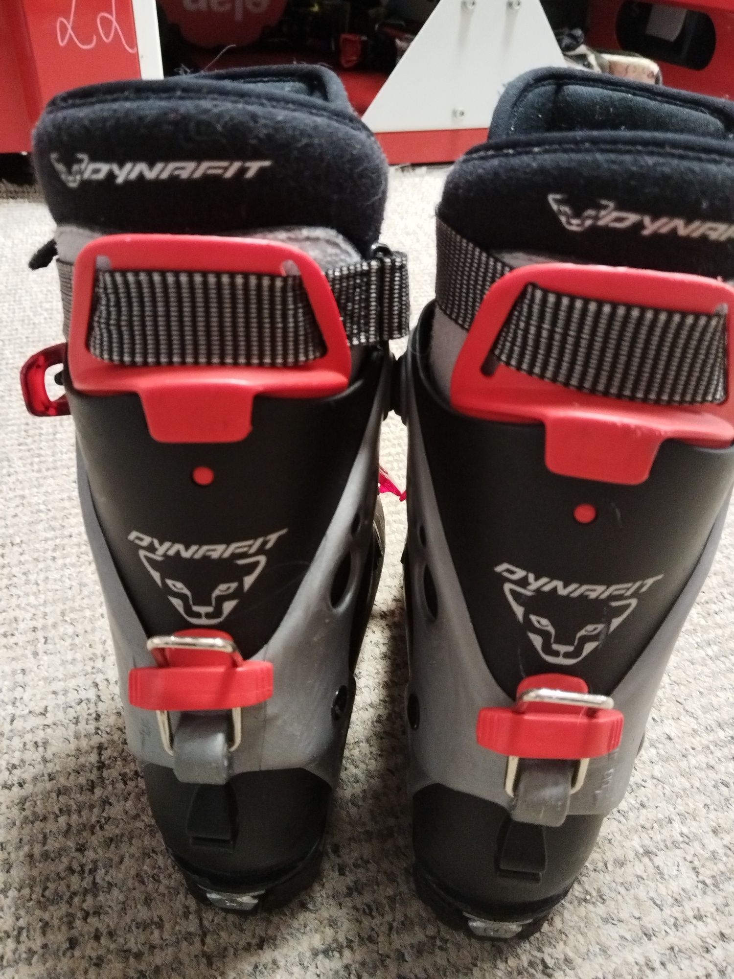 Buty ski-turowe Dynafit TLT 4 23,5cm