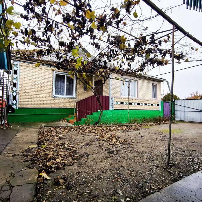 Продам будинок в мальовничому селі