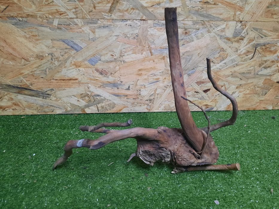 Korzeń do akwarium Red Moore Wood nr 885 o wymiarach 31/12/26