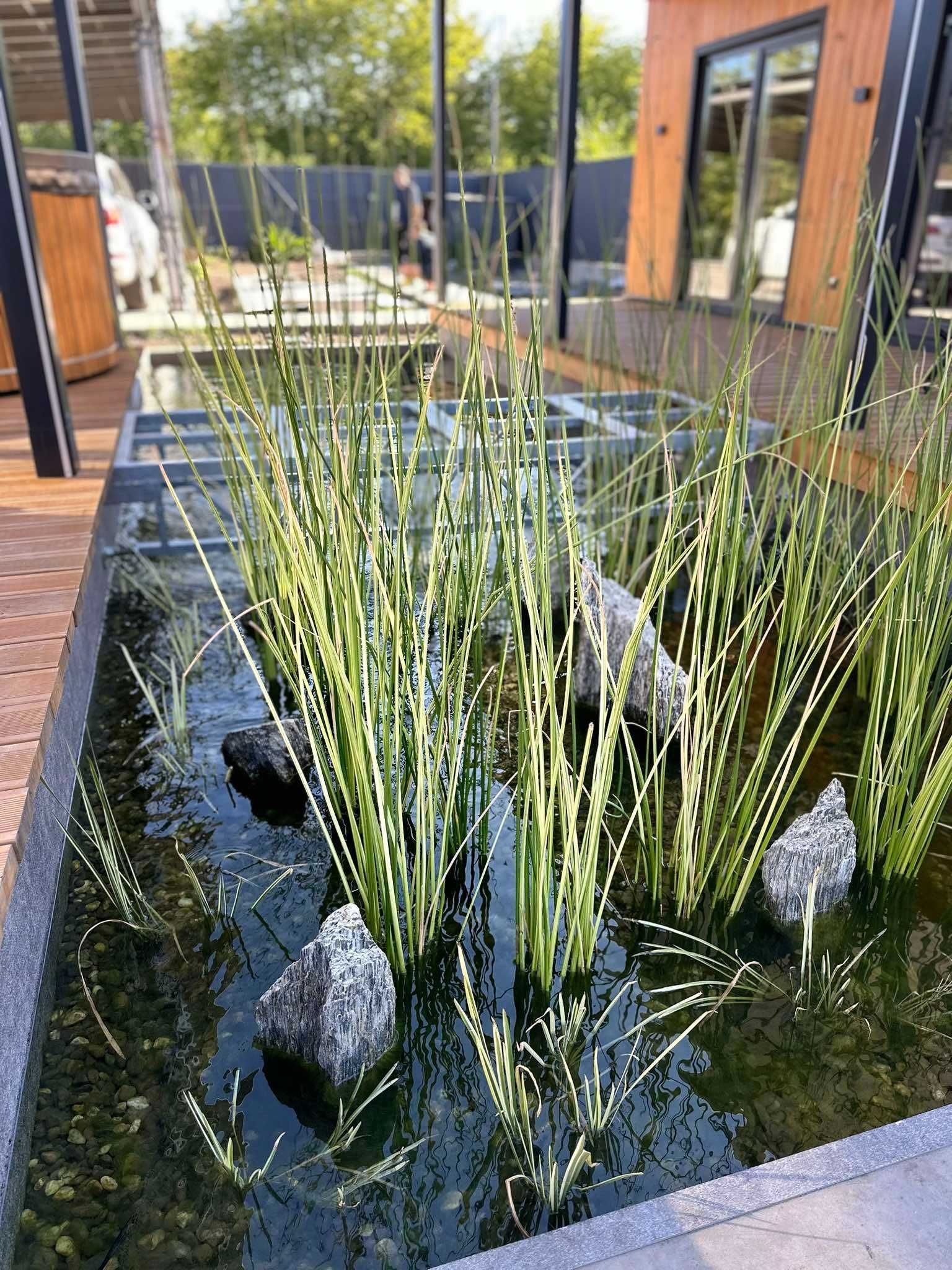 Водоем пруд озеро Водойма