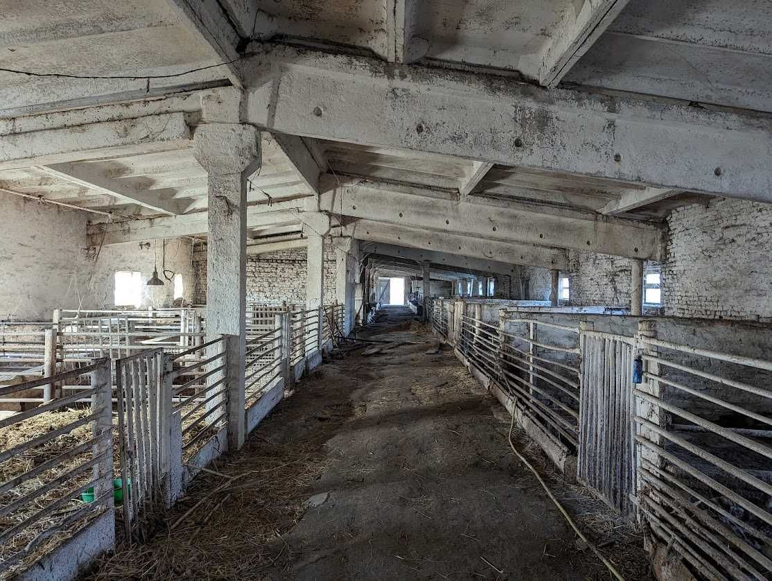 Продам приміщення ферми 800 кв.м біля Шполи, ділянка 1,1 га
