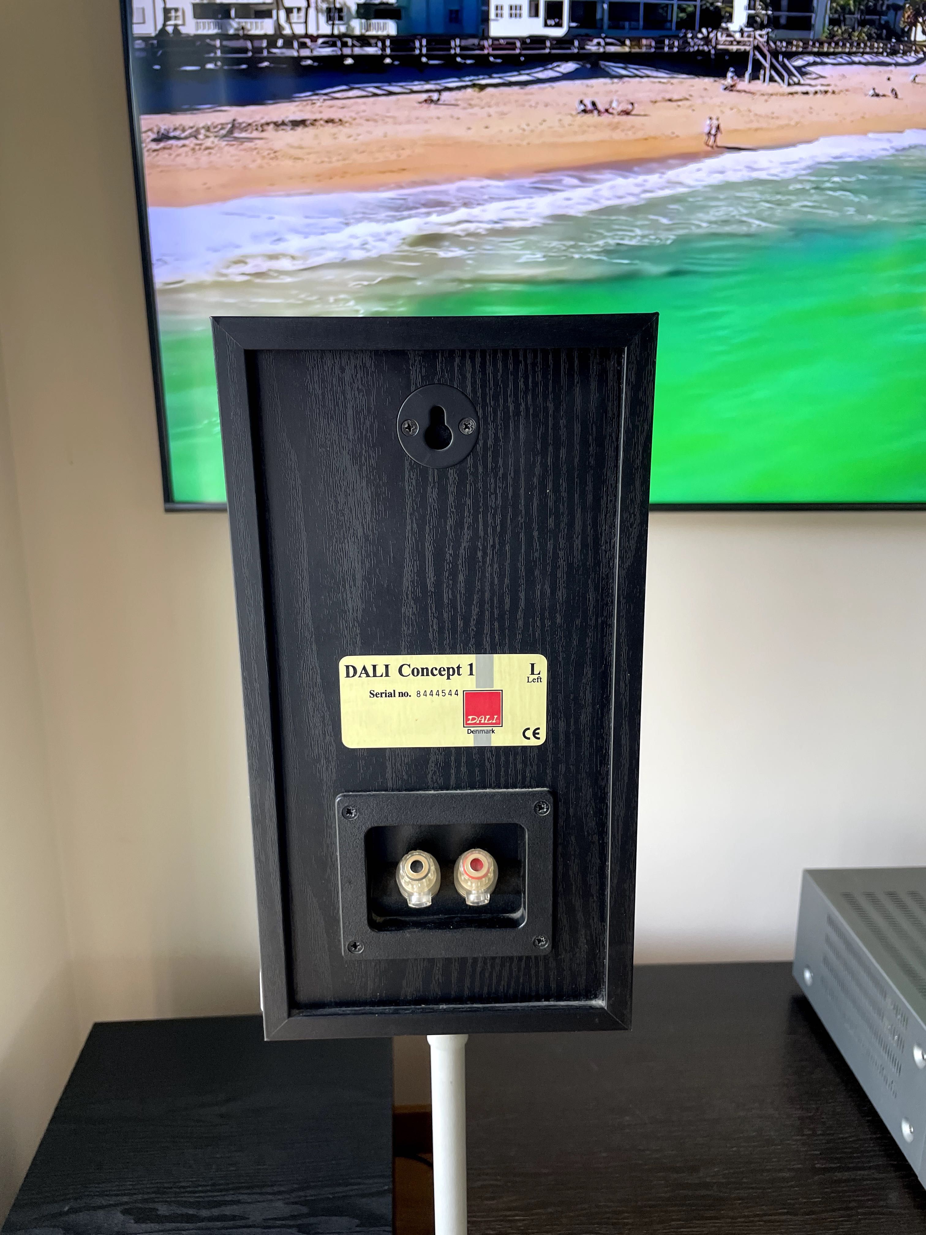 Kolumny podstawkowe Dali Concept 1