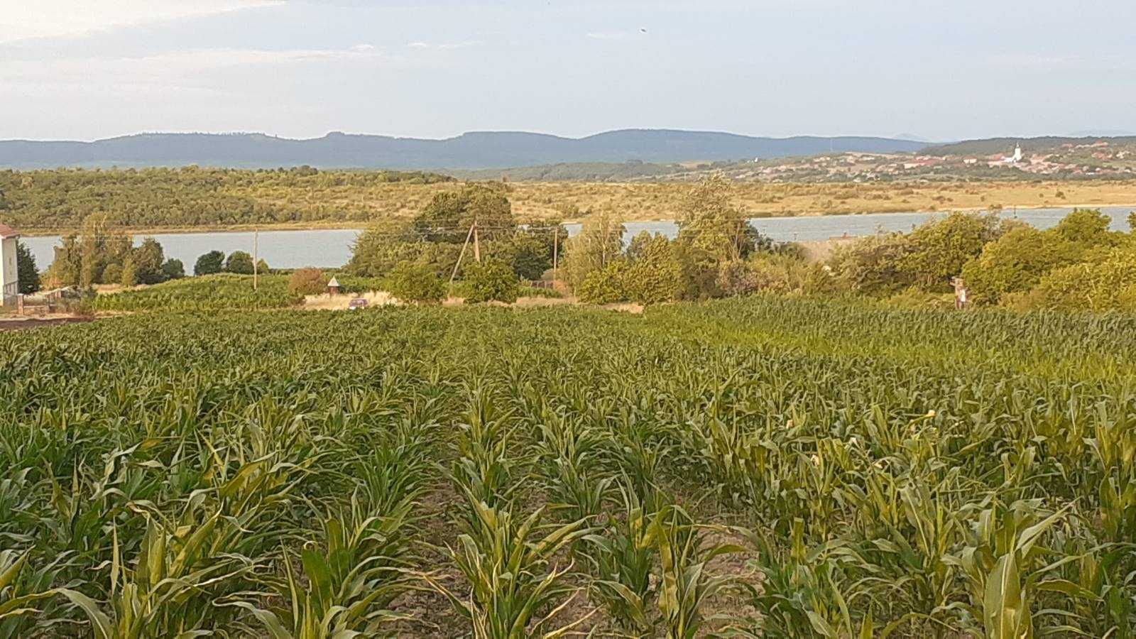 Земельна ділянка в с.Пістрялово