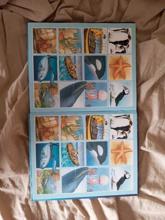 Dicionário por imagens do mar