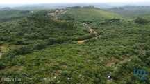 Terreno em Chãos de 3880,00 m2