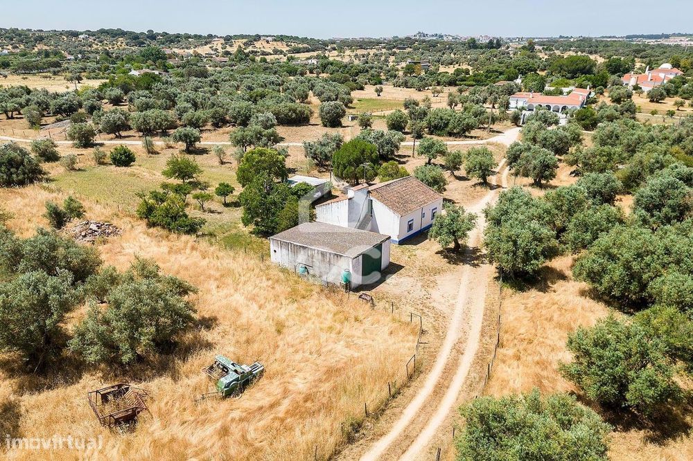 Quinta com Moradia, Olival e Excelente Localização | Próxima de Évora