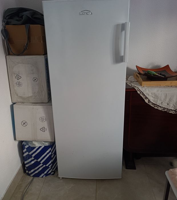 arca congeladora vertical electronia HS-208 FN(J)