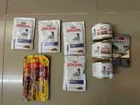 Comida Gastrointestinal Royal Canin - Cão