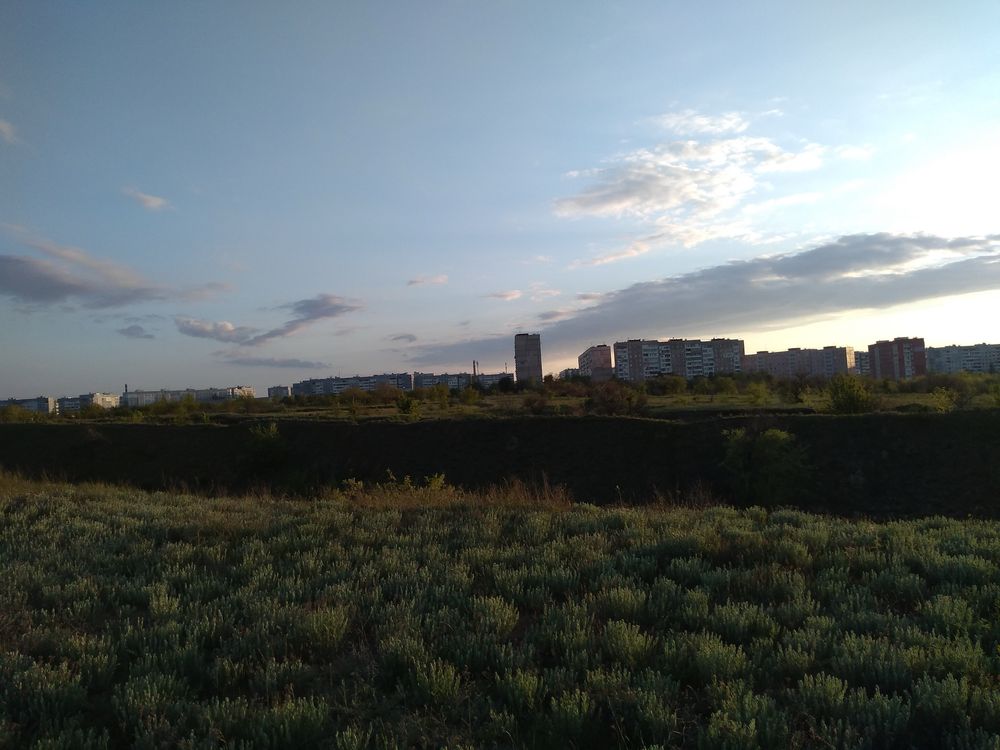 Продам поле 12 га під забудову садівничого кооперативу