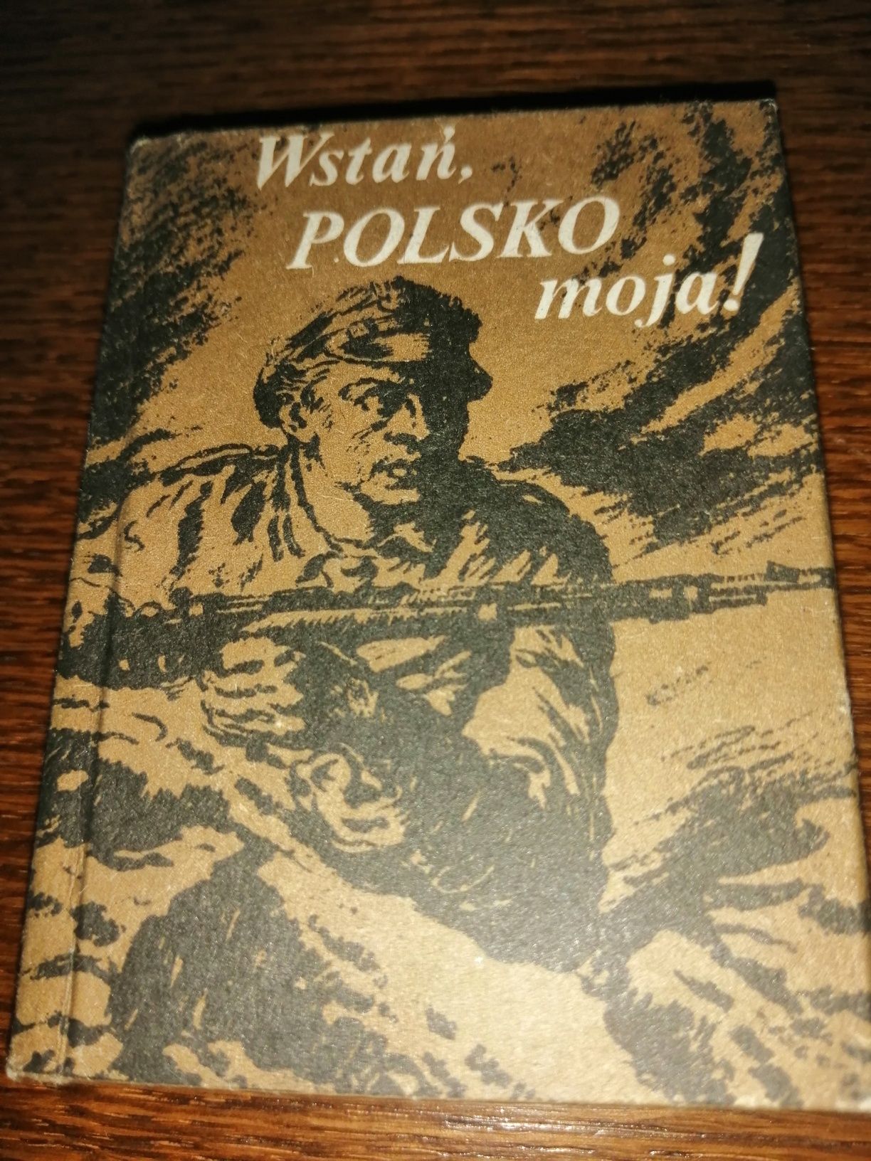 Wstań Polsko moja - Poezje z lat 1914 - 1918