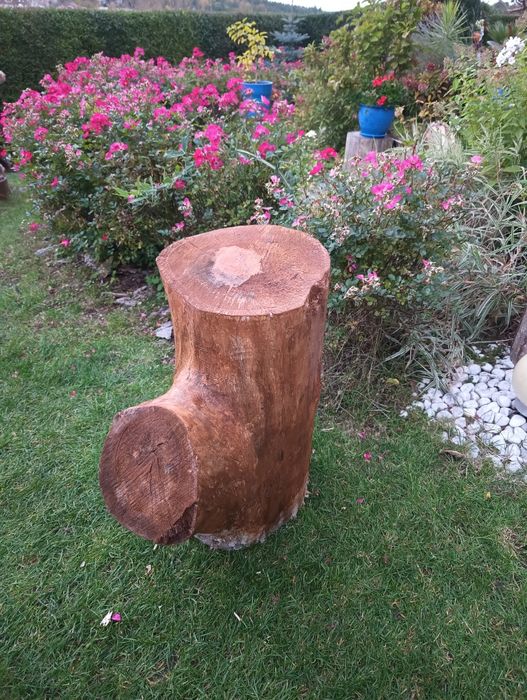 Pień z drewna bardzo duży.