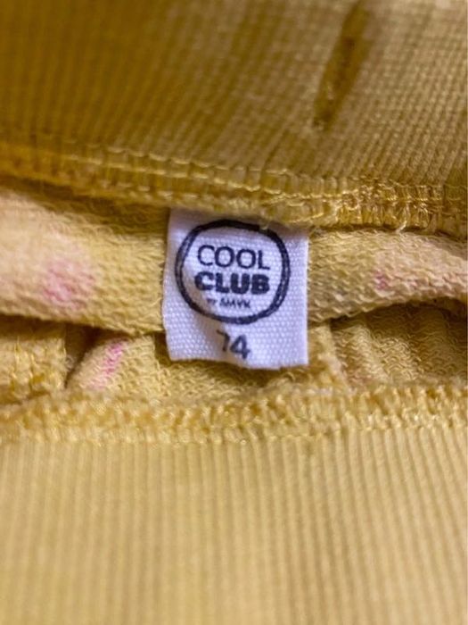 Spodnie niemowlęce 2-pack Cool Club 74 cm | kolorowe, wiśnie, tygrysy