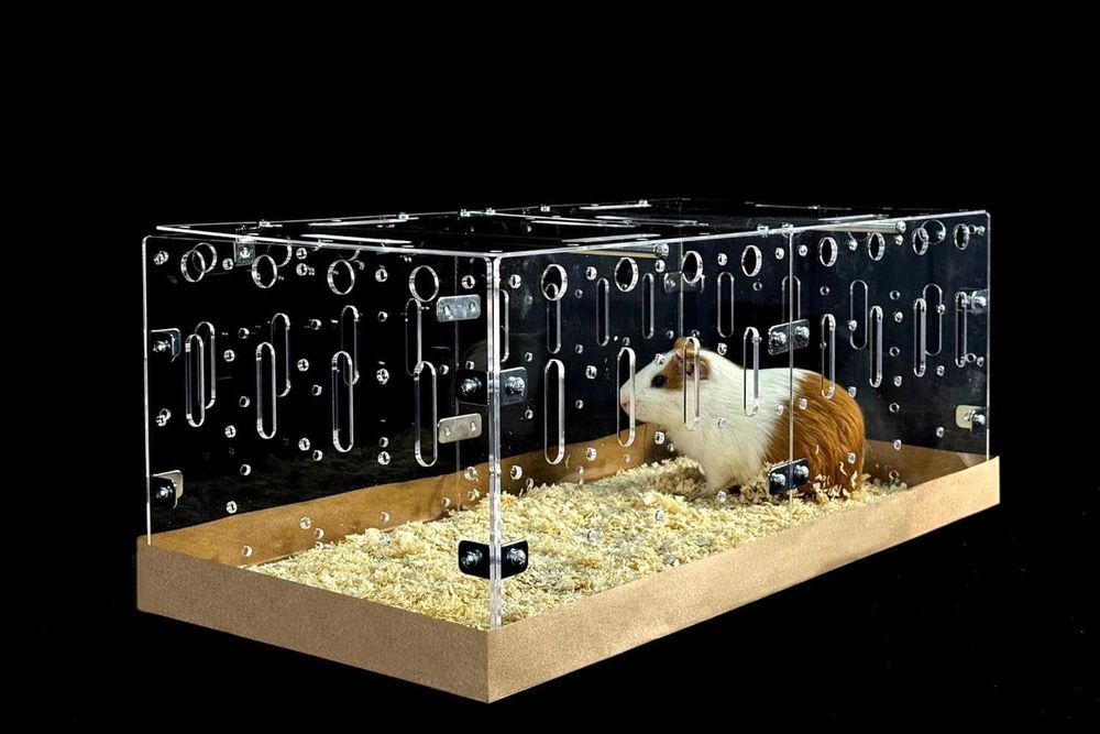 GuineaLoft Klatka dla Świnki Morskiej z Pokrywką Akrylowa 60x30 cm