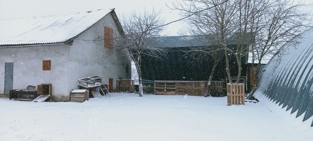 Господарський двір з будівлями