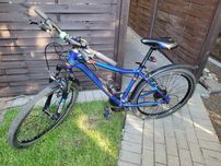 Rower Onilus Muranus 1.0