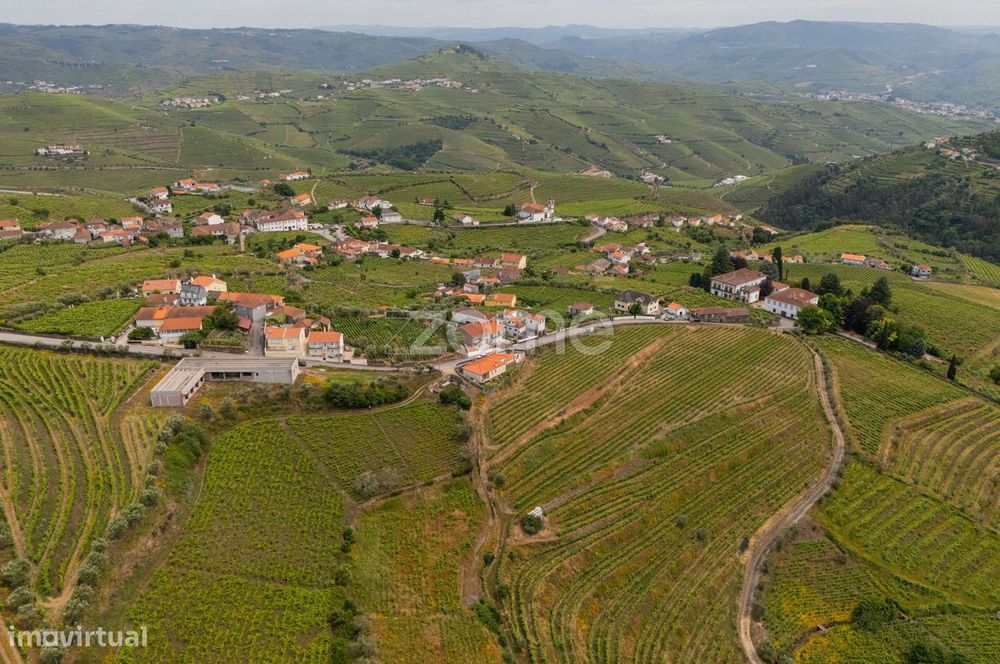 Terreno com 9.375 m² em Santa Marta de Penaguião