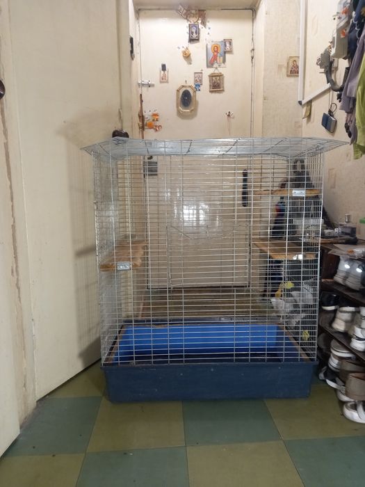 Продам клетку для белки Дегу,шиншил ,и других животных,.большой  разме