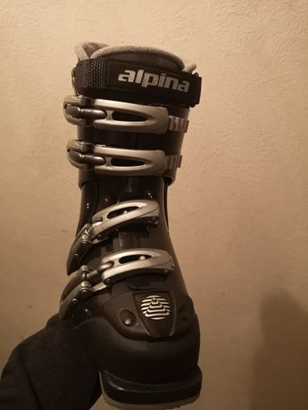 Buty narciarskie Alpina wkładka 24 cm. Jak nowe