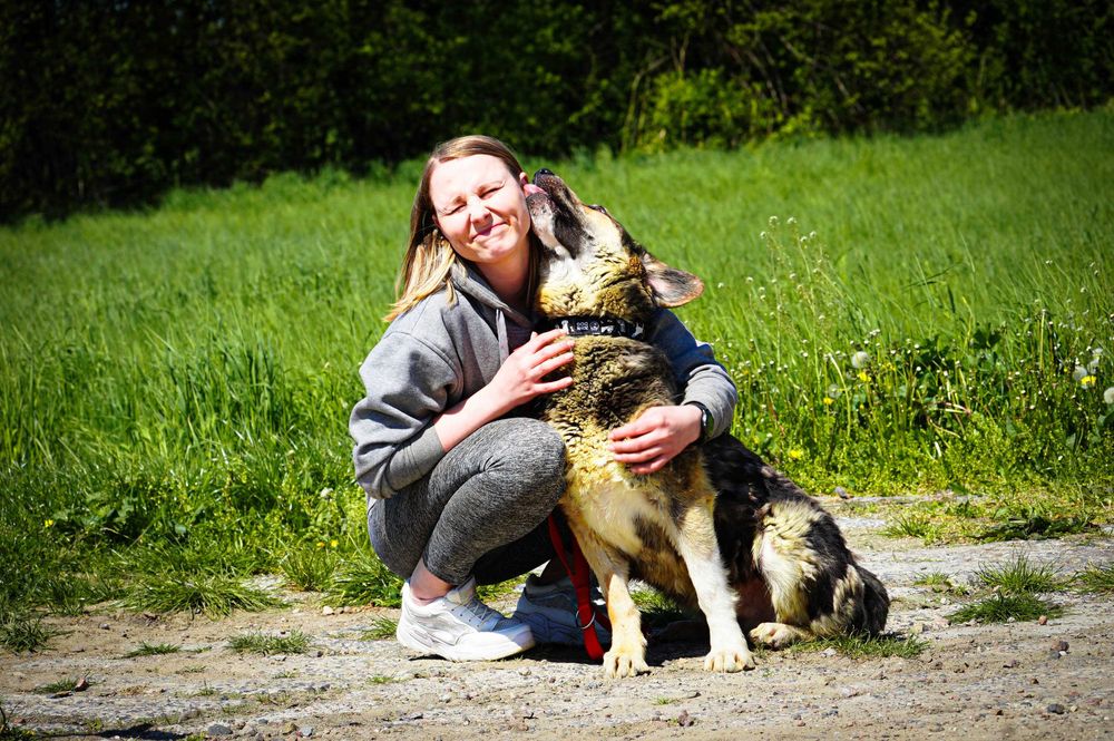 Dobosz radosny energiczny piesek