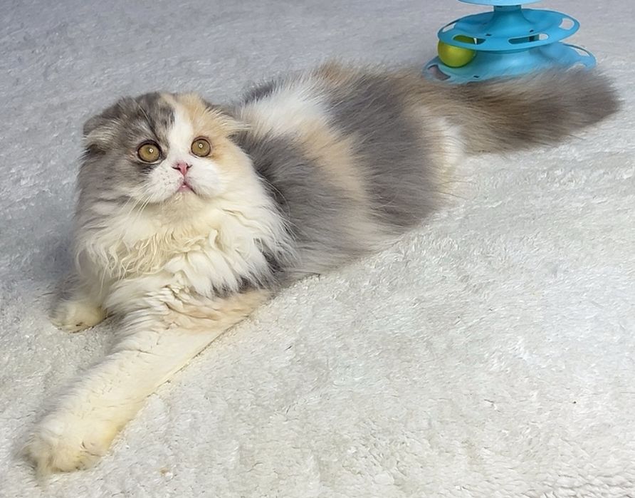 Неймовірно красива дівчинка