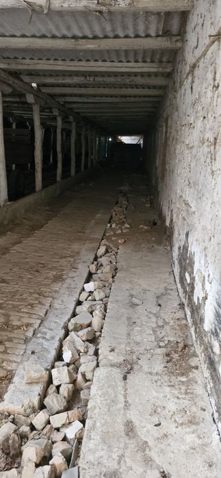 Продам дві ферми