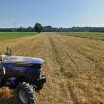 Koszenie traw zarośli  farm fotowoltaicznych mulczer Faktura